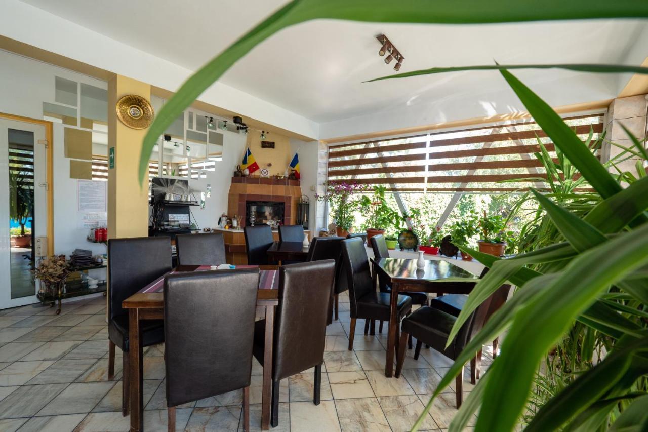 Pension Motanul Galanton Snagov Exterior foto