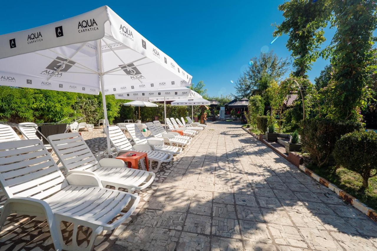Pension Motanul Galanton Snagov Exterior foto